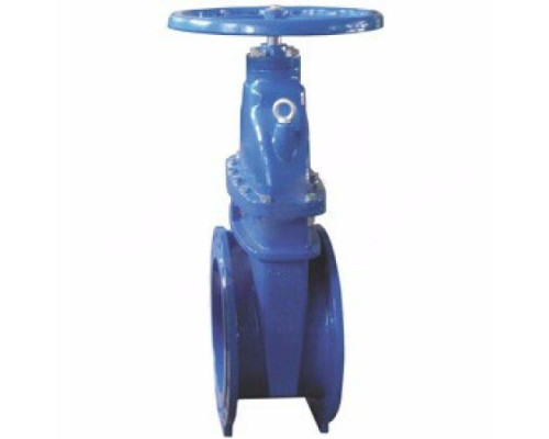 Задвижка чугун R55FLY МЗВГ обрезиненный клин Ду 65 Ру16 до +100 фл Giacomini R55FLY006